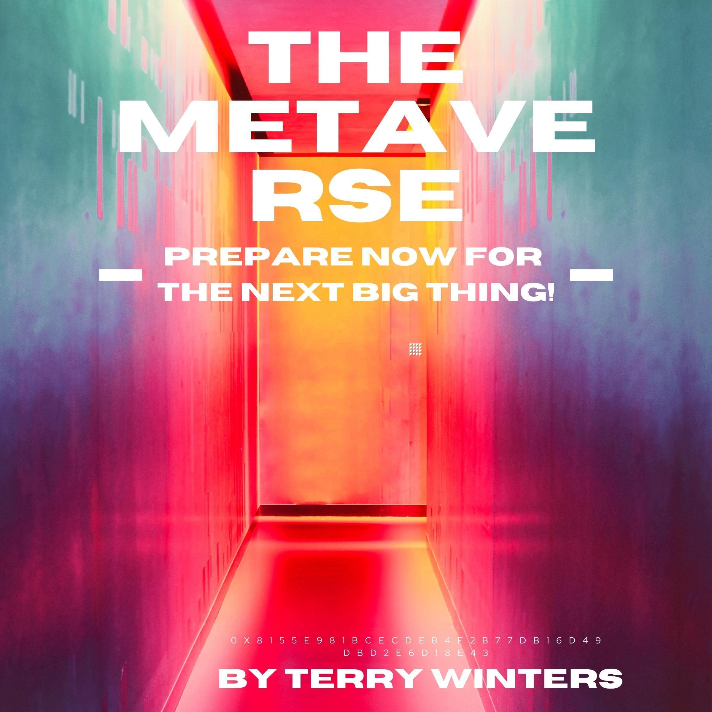 Cover art for The Metaverse