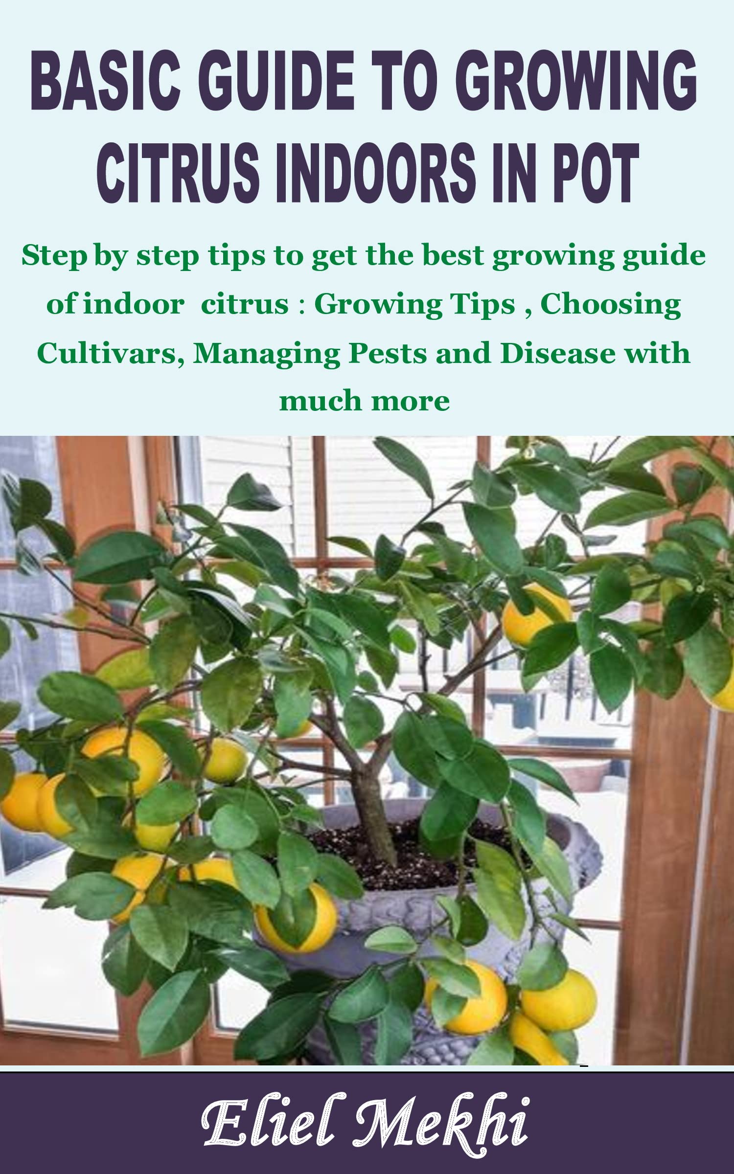 Buy BASIC GUIDE TO GROWING CITRUS INDOORS IN POT Step by step tips to get the best growing