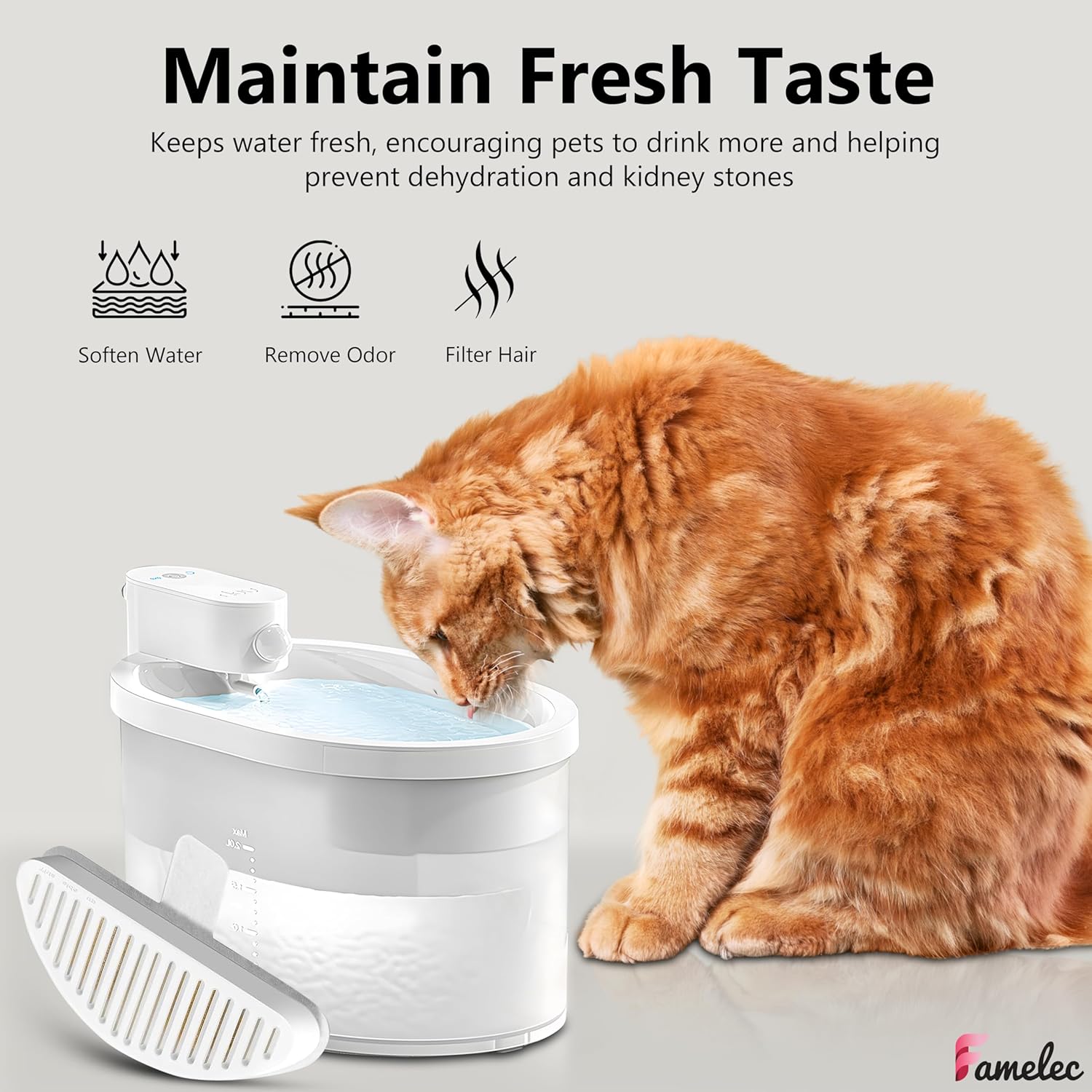 FAMELEC(ファメレック) ウォーターフィルター12個とスポンジ12個 uahpetウォーターファウンテンフィルター用 Uah