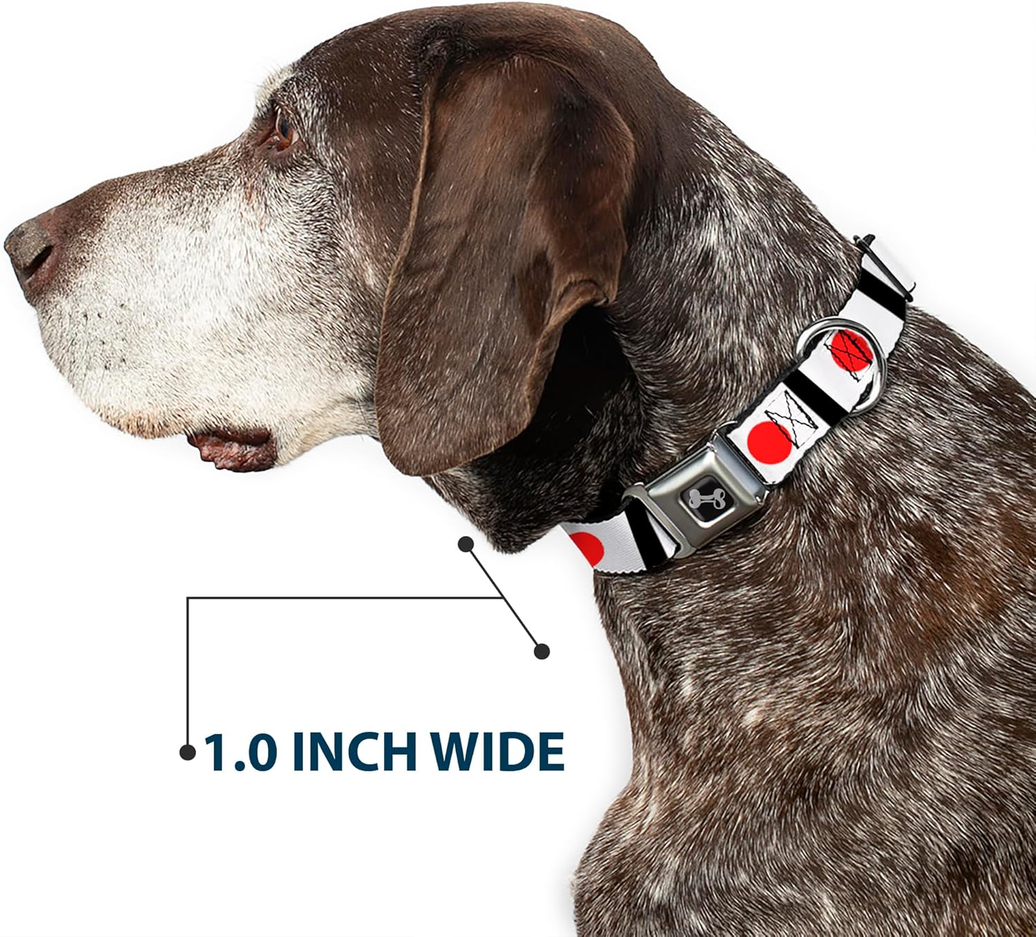 Buckle-Down Seatbelt Buckle Dog Collar - Japan Flags - 1" Wide - Fits 11-17" Neck - Medium