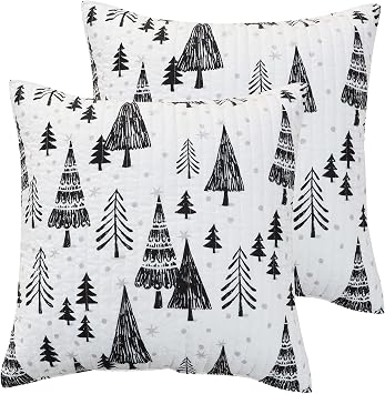 Levtex Home Merry & Bright Collecion - Northern Star - Euro Sham Set of Two - 26x26in., No Insert -Festive Holiday - Black and White