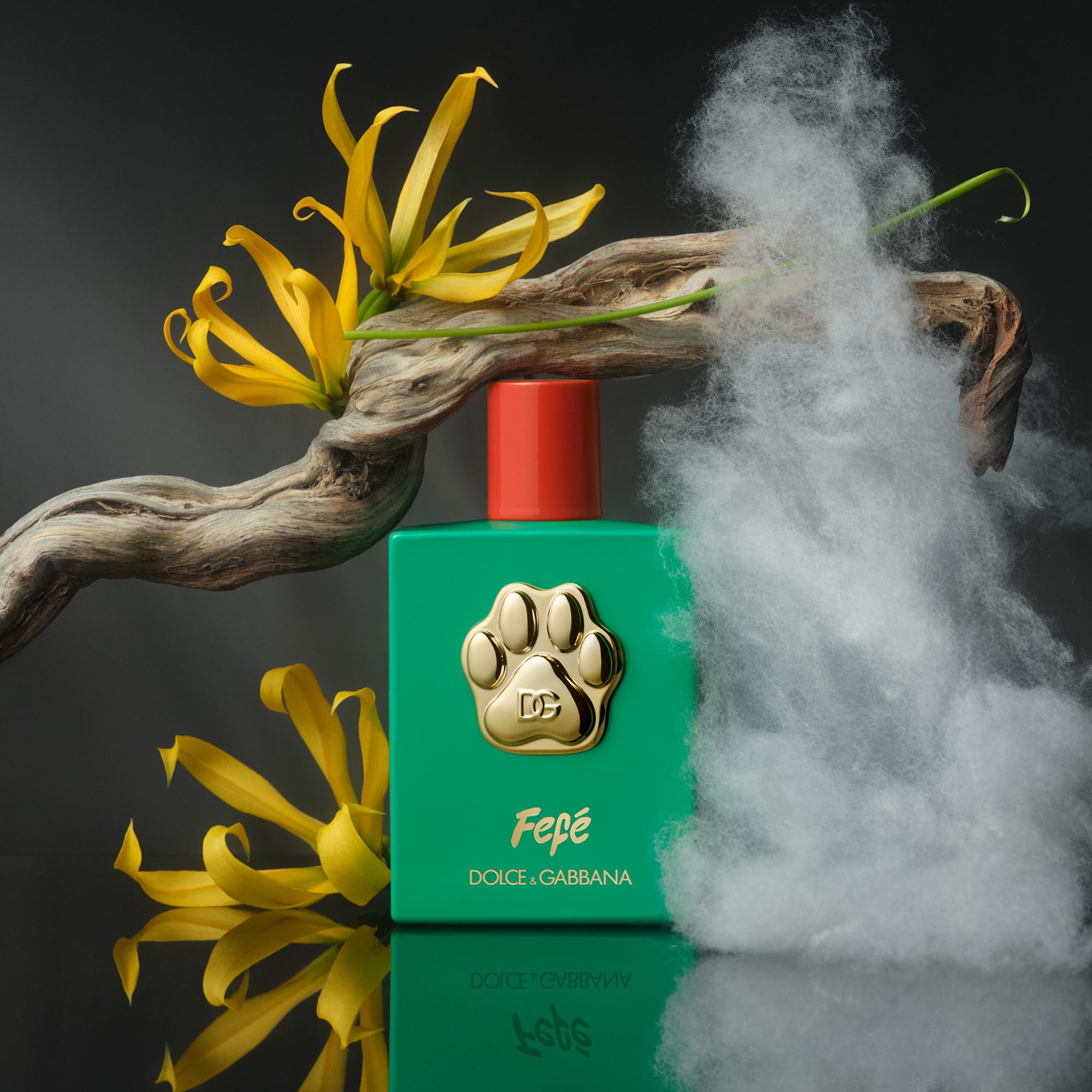 Dolce & Gabbana Fefé Alcohol-free fragrance mist for dogs 100ml