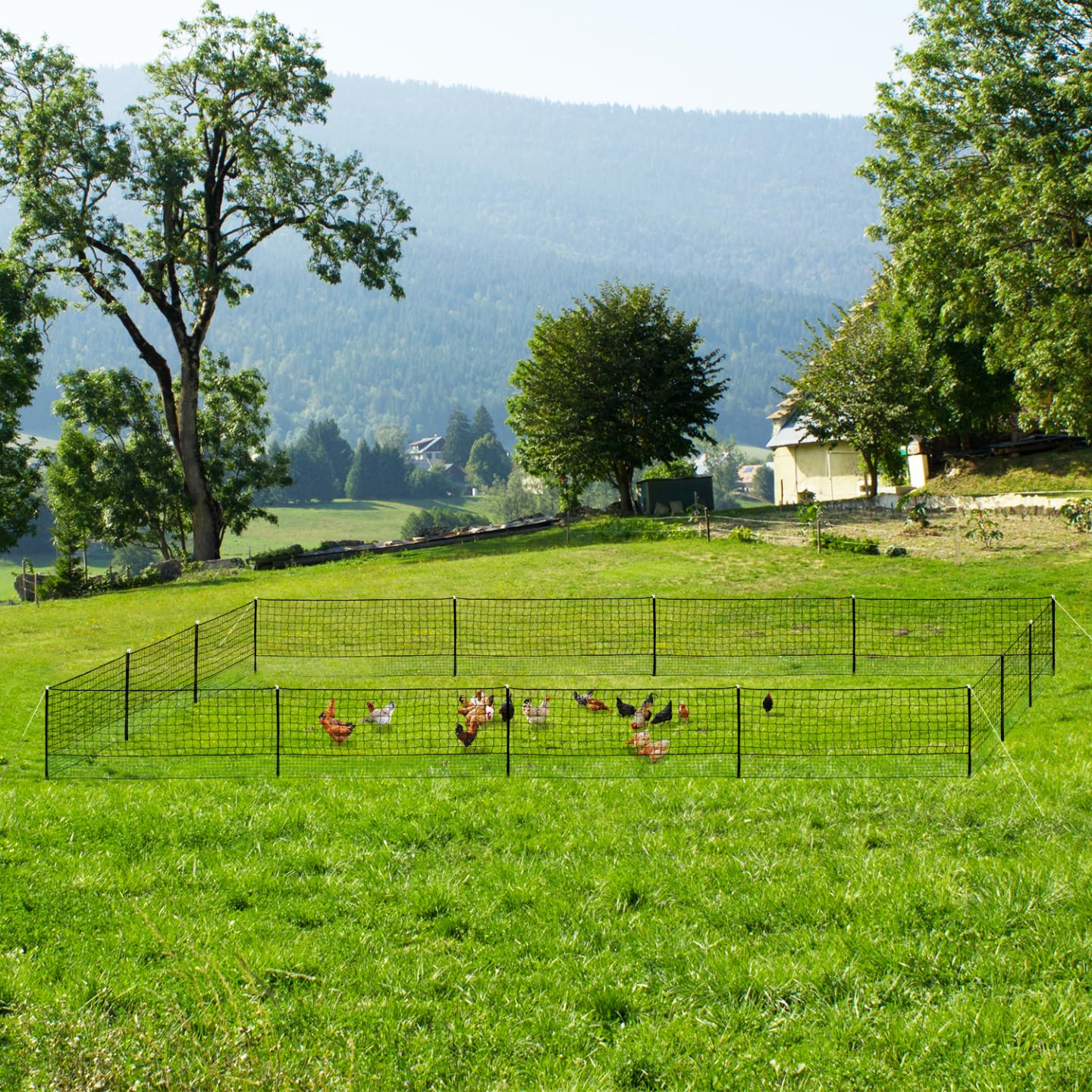 IDMarket – Kit de valla de red de gallinas 50 m con puerta 15 estacas doble punta