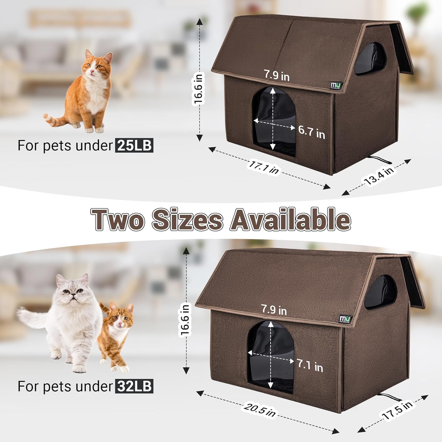 https://m.media-amazon.com/images/I/811PvWa6QwL._AC_SL1500_.jpg