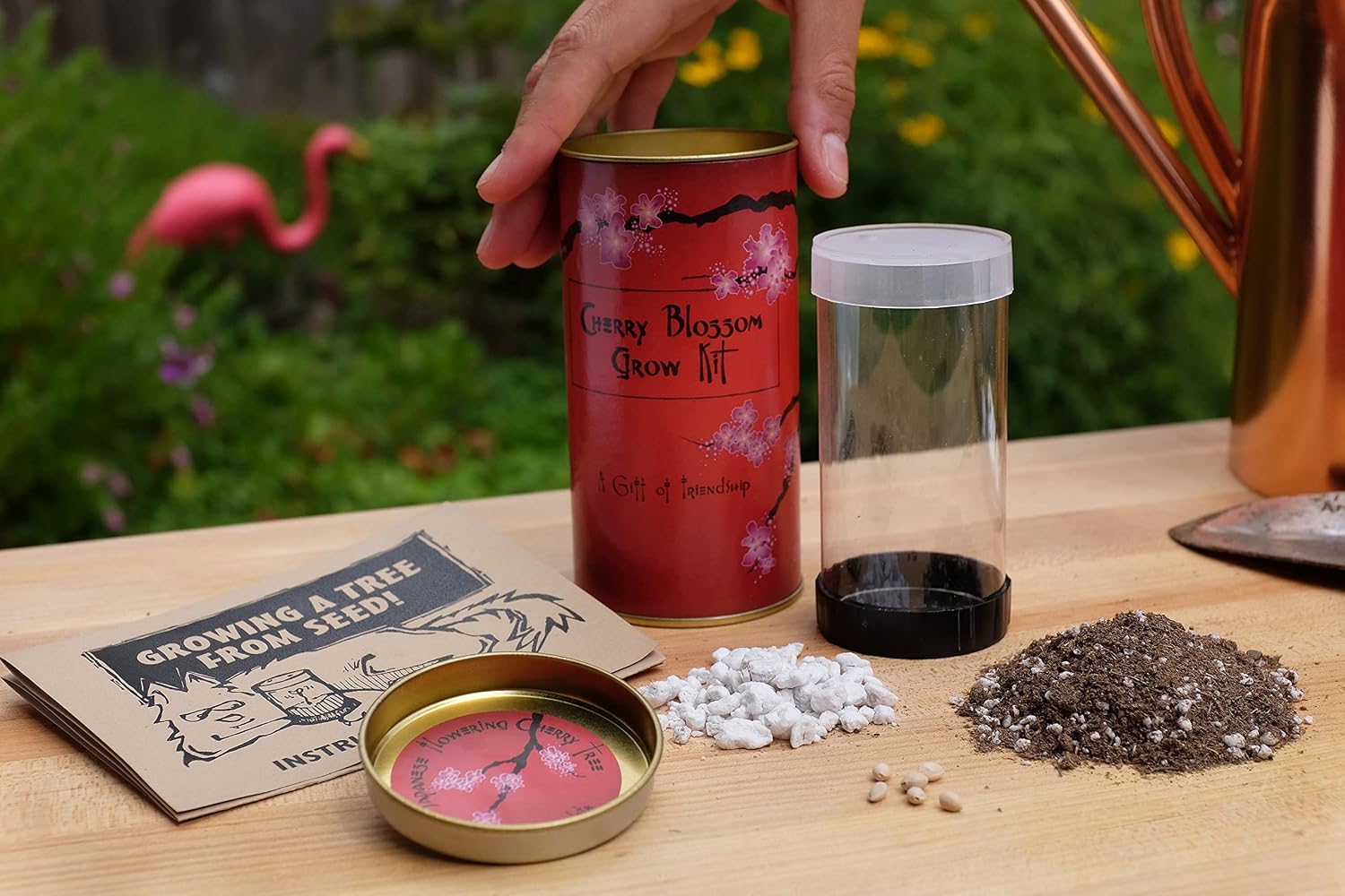 Japanese Flowering Cherry Blossom | Tree Seed Grow Kit | The Jonsteen Company