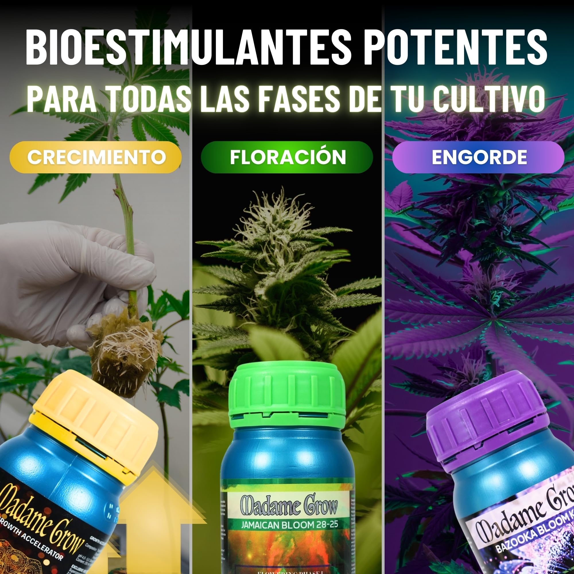MADAME GROW Kit Power 3PACK 3 x 1 Litro | Pack Fertilizantes Crecimiento Floración y Engorde | Enraizante + PK Floración + Engordador K30 | Kit 3 Abonos Orgánicos