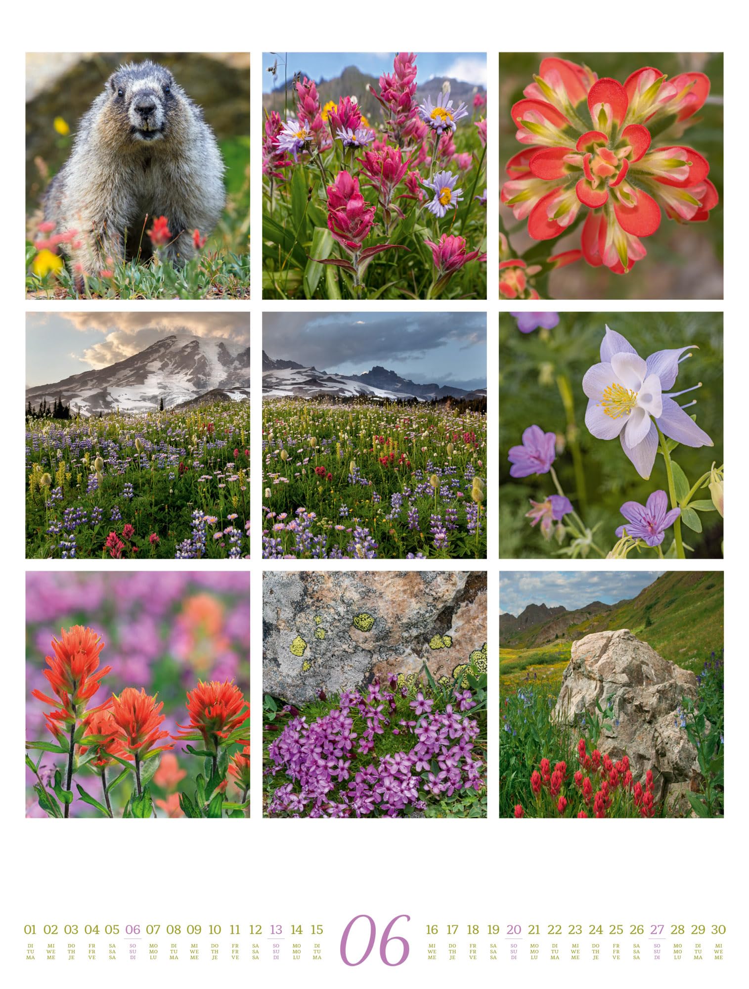 Inspiration Natur Kalender 2027: Vielfältiger Natur-Kalender im großen Hochformat (50x66 cm) | Mehrteilige Bildmosaike im Triplet-Stil