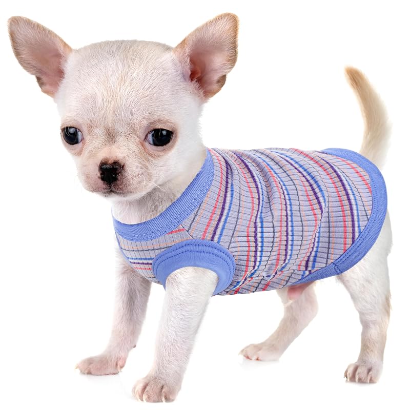 Camisa Regata para Cães em Algodão 100% Azul Paiaite XL
