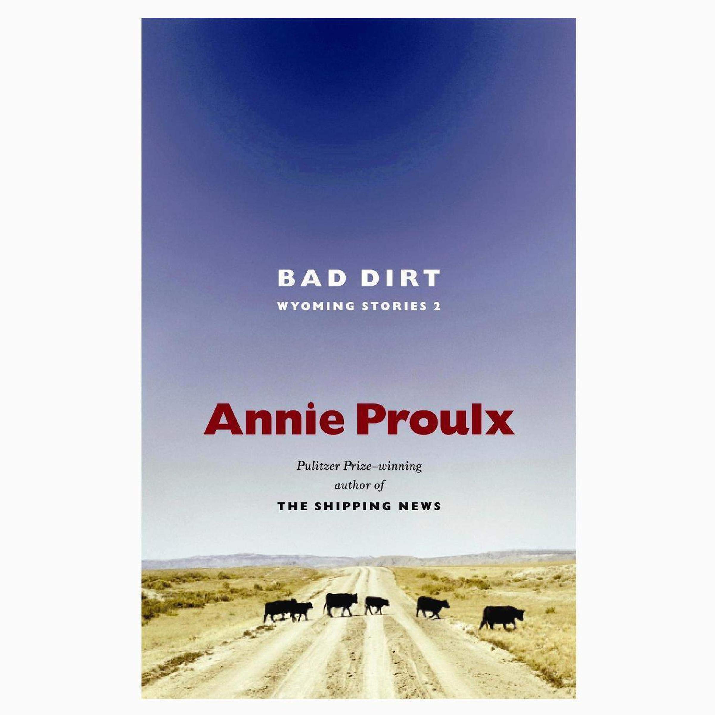Cover art for Bad Dirt