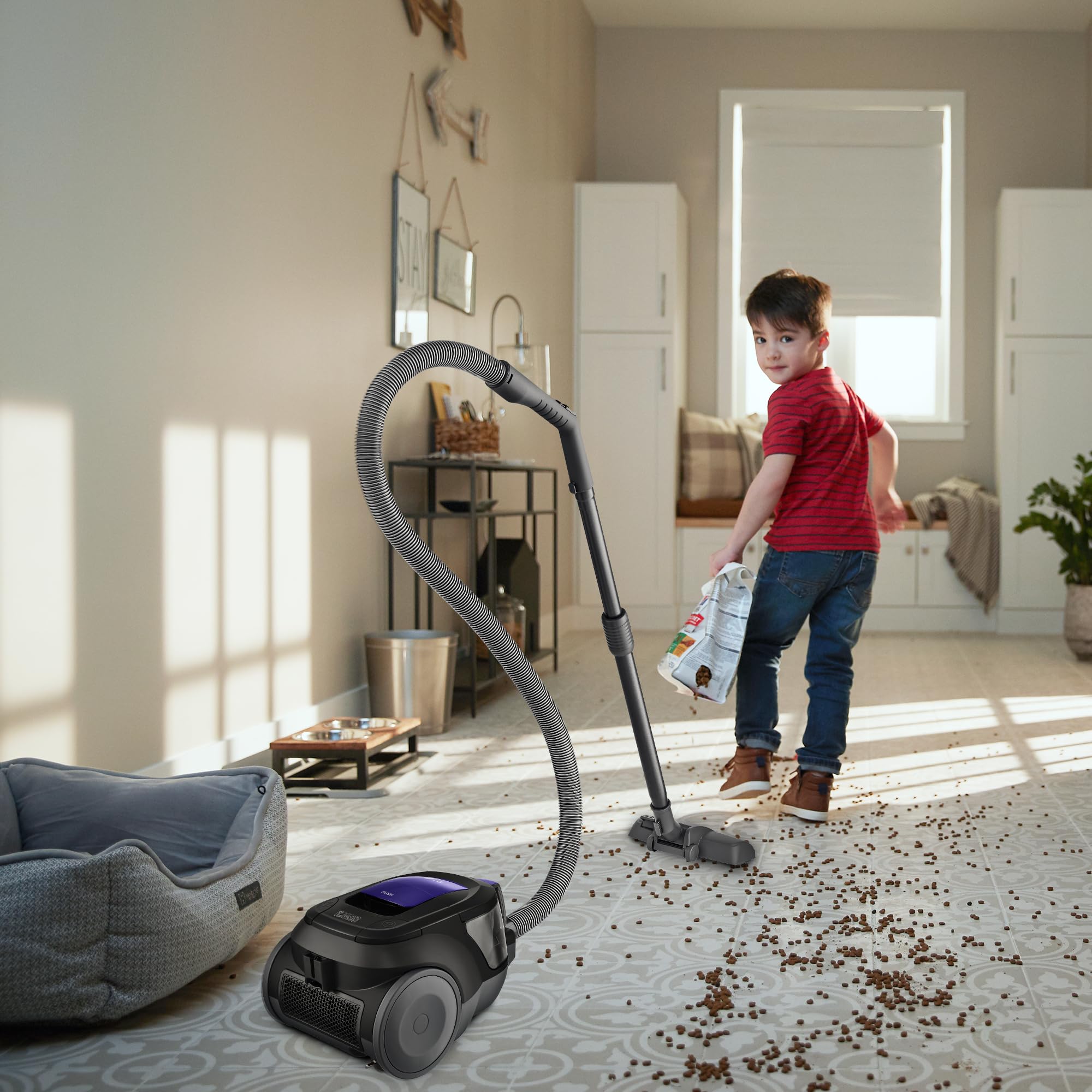 LG VC5506NHTB - Aspirador sin Bolsa 650W, Sistema Ciclónico Elipse, Aspiradora Tubo Telescópico, Regulación Potencia, Depósito 1,1L, Especial alfombras y Suelos Duros, Azul