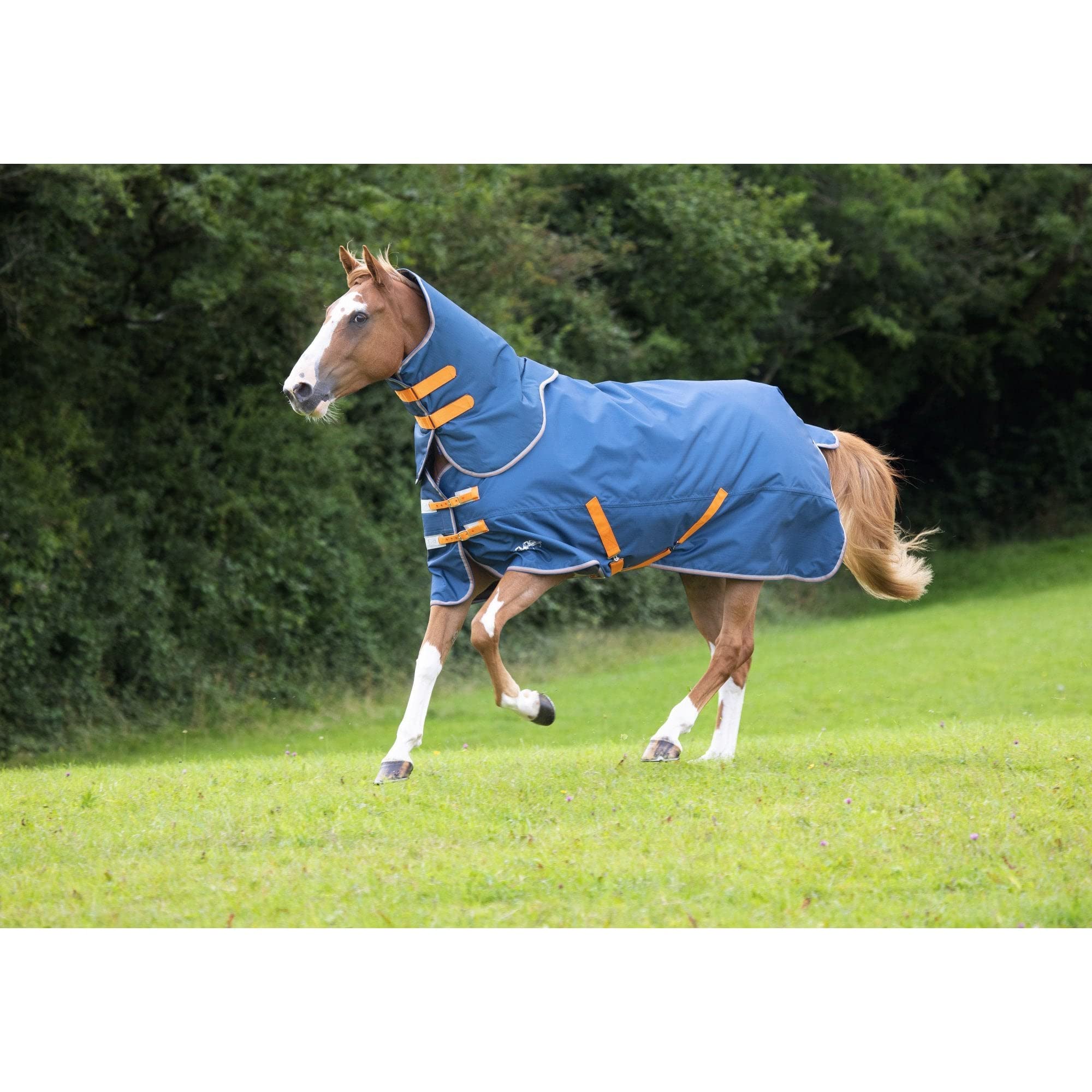 Shires Tempest Original Lite Turnout Rug & Neck - Teal 7ft3