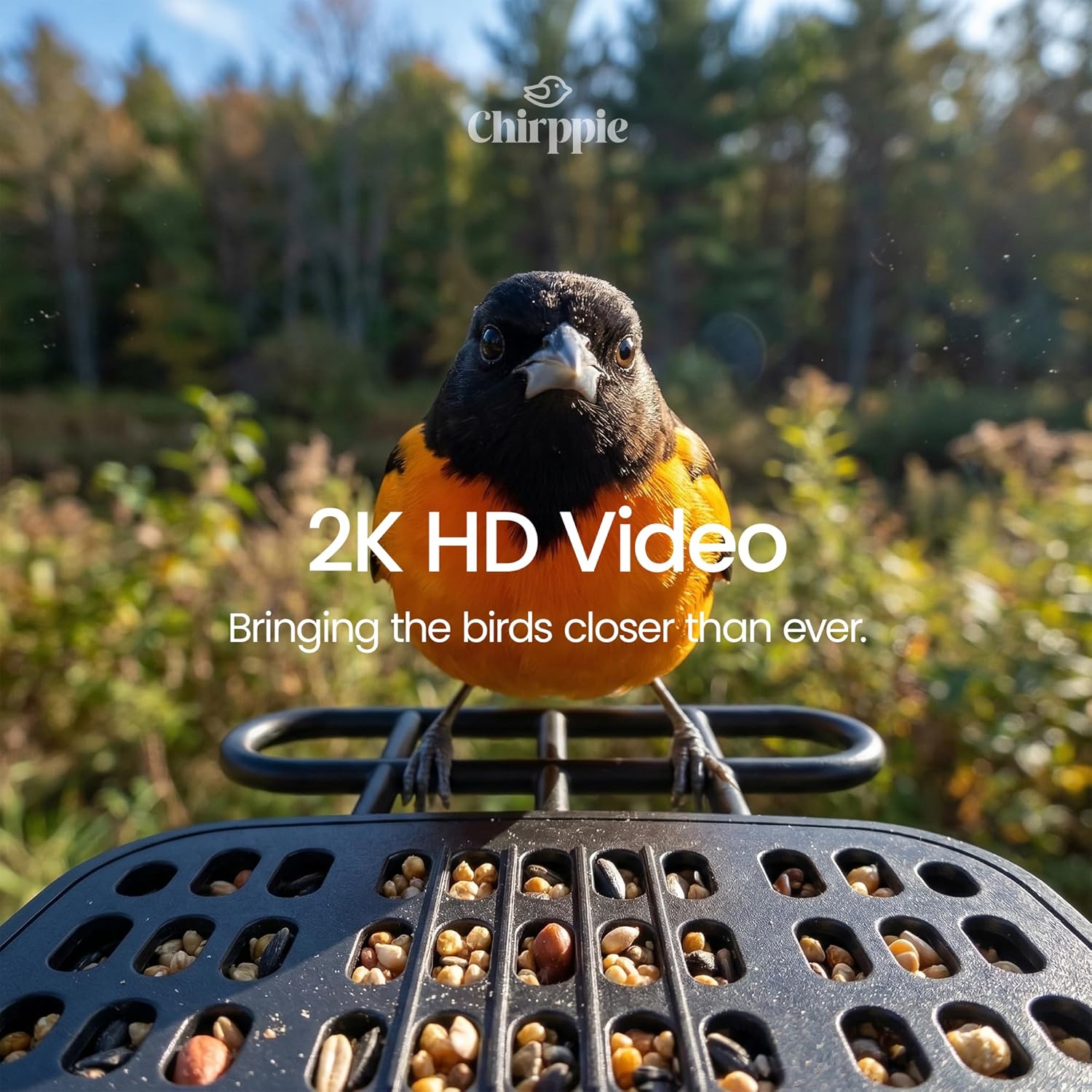 Solar Powered Smart Bird Feeder with Camera — 2K HD Video Bird Feeder with AI Bird Identification, Wireless 2.4 GHz WiFi Outdoor Birdhouse Camera with Live Feed — Gift for Bird Lovers, Weatherproof
