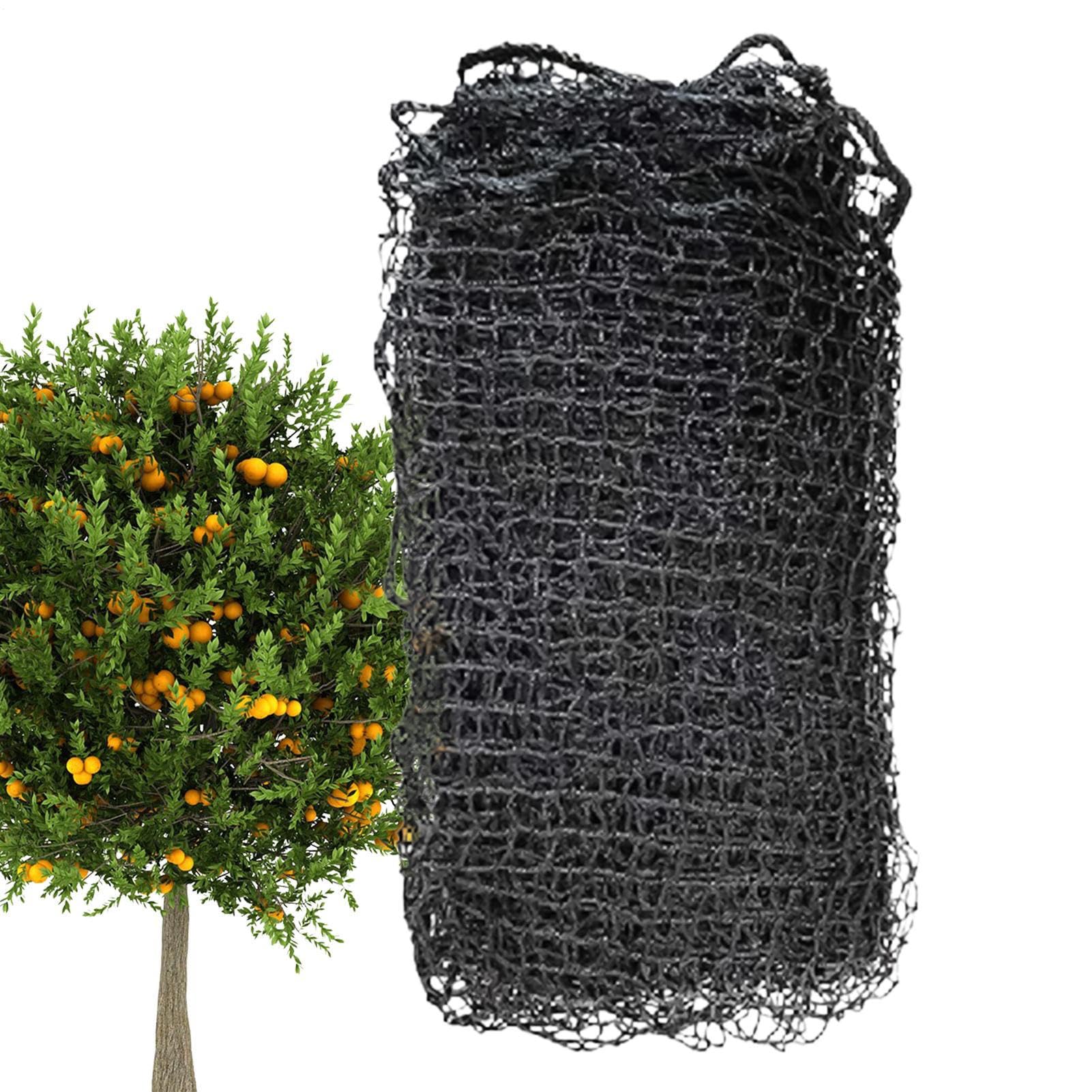 Red de jardín, protector de plantas reutilizable resistente, malla antipájaros y animales, transpirable, sin enredos, para árboles frutales, arbustos de bayas, verduras, patio, balcón, uso deportivo | Protección Antipájaros 3x6m para Plantas y Aves para J