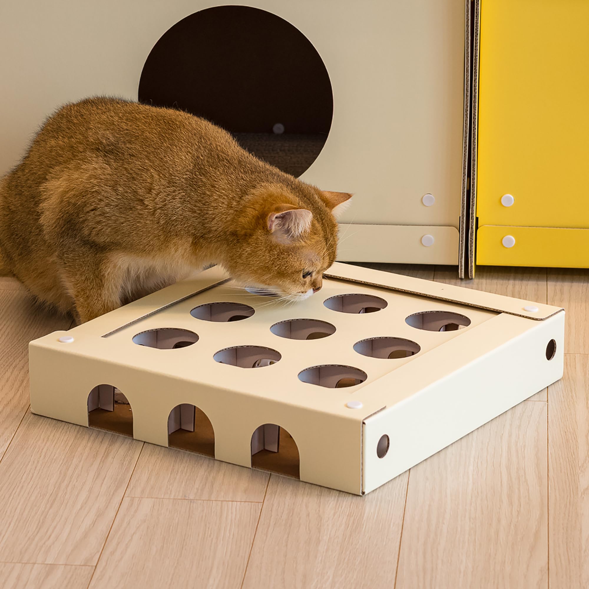 猫　パズル Amazon.co.jp: 【zdc】フィーディングパズル 猫用玩具 一体型 高密度