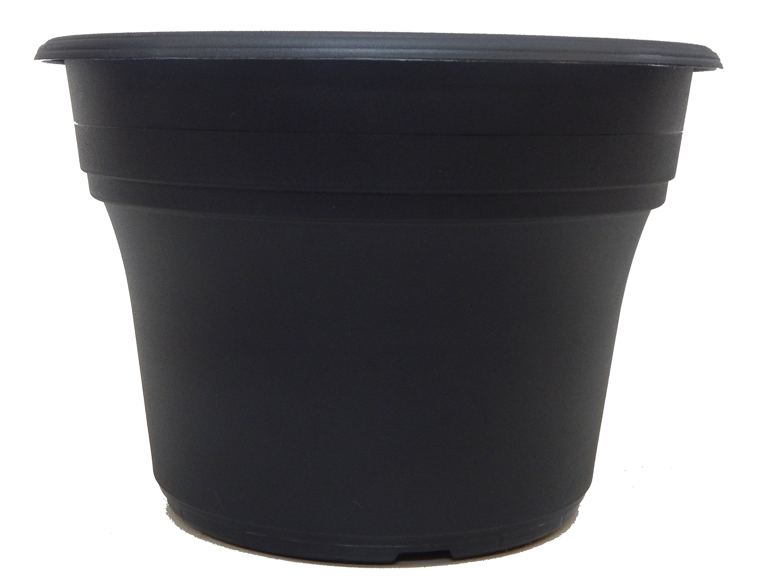 Amazon.com: 40 New 8 Inch Round Plastic Decorative Fancy Planter, Great Pot  for Home Or Patio Garden, Color Black : Patio, Lawn & Garden