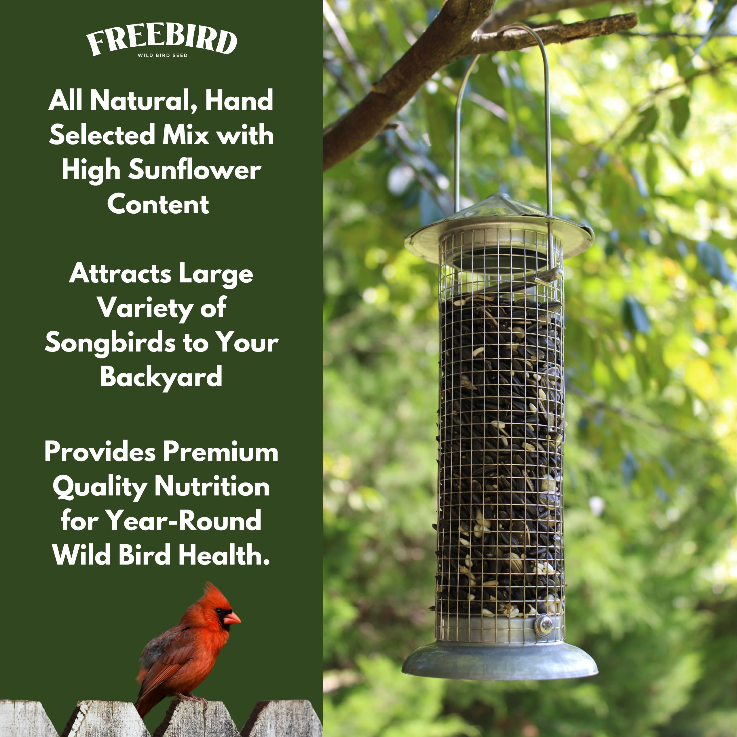 Freebird - Mangime per uccelli selvatici, miscela premium per uccelli canori con olio di girasole nero, girasole a strisce, cartamo, pezzi di arachidi, miglio bianco, miglio rosso per cardinali