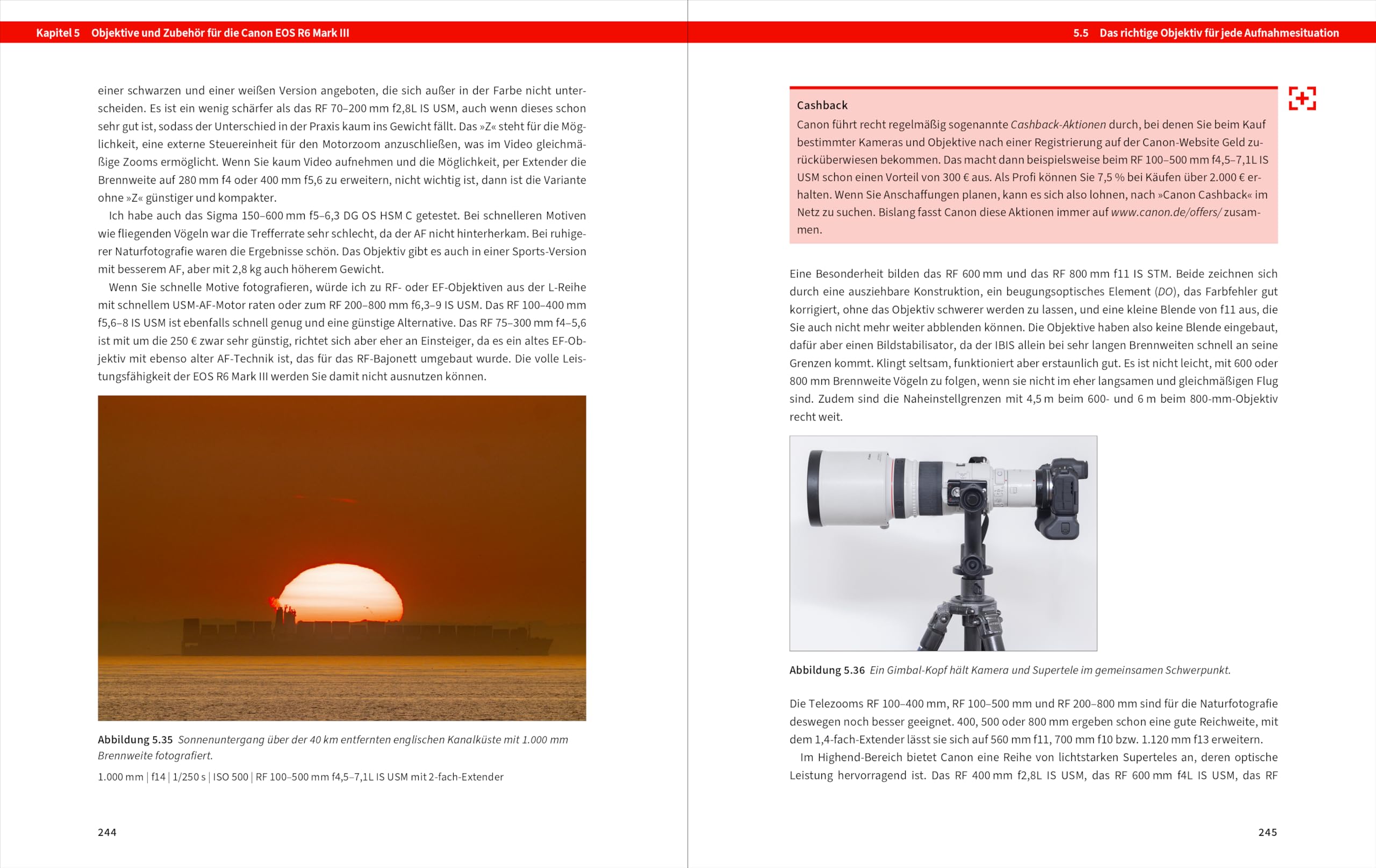 Canon EOS R6 Mark III: Das Handbuch zur Kamera. Konfiguration, Expertenwissen und Praxistipps für brillante Fotos und Videos