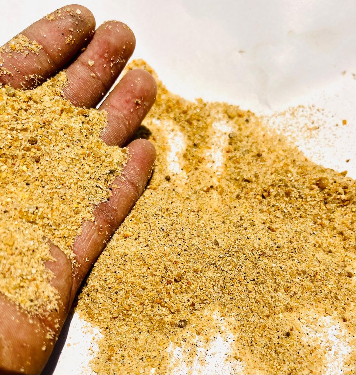 THE GUPTAS River Sand for Plants kg Natural and Organic River Sand Multi Purpose from Kaveri Pure for Lawn,Garden, Plants & Aquarium River Sand (2) (B0D56QW3Z6) Amazon Price History, Amazon Price Tracker