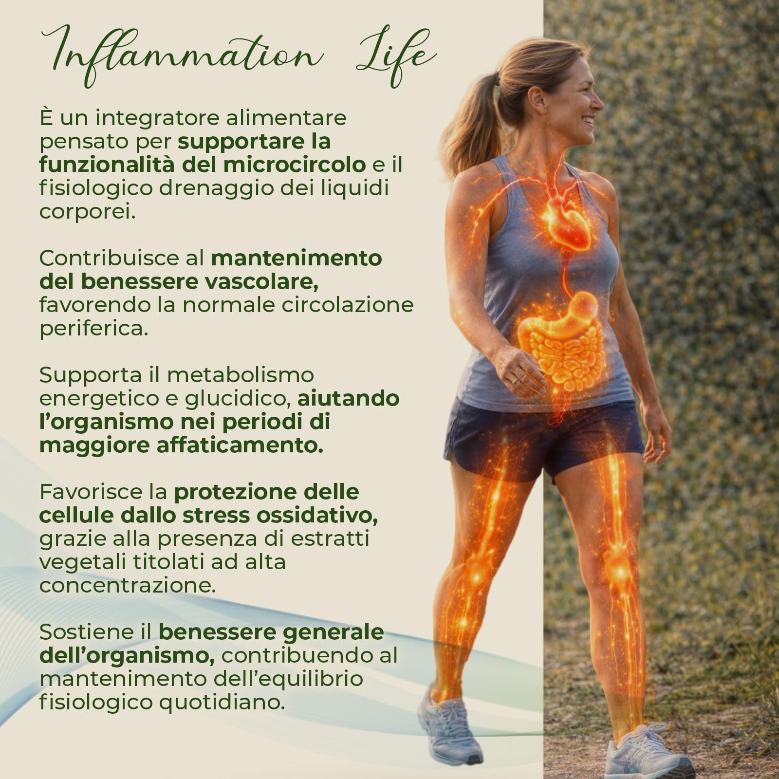 AP PLUS Inflammation Life Integratore Antiossidante Forte, Formula Adattogena per Metabolismo e Microcircolo con Fisetina, Luteolina e Bromelina 2500 GDU, Astragalo | 90 Compresse