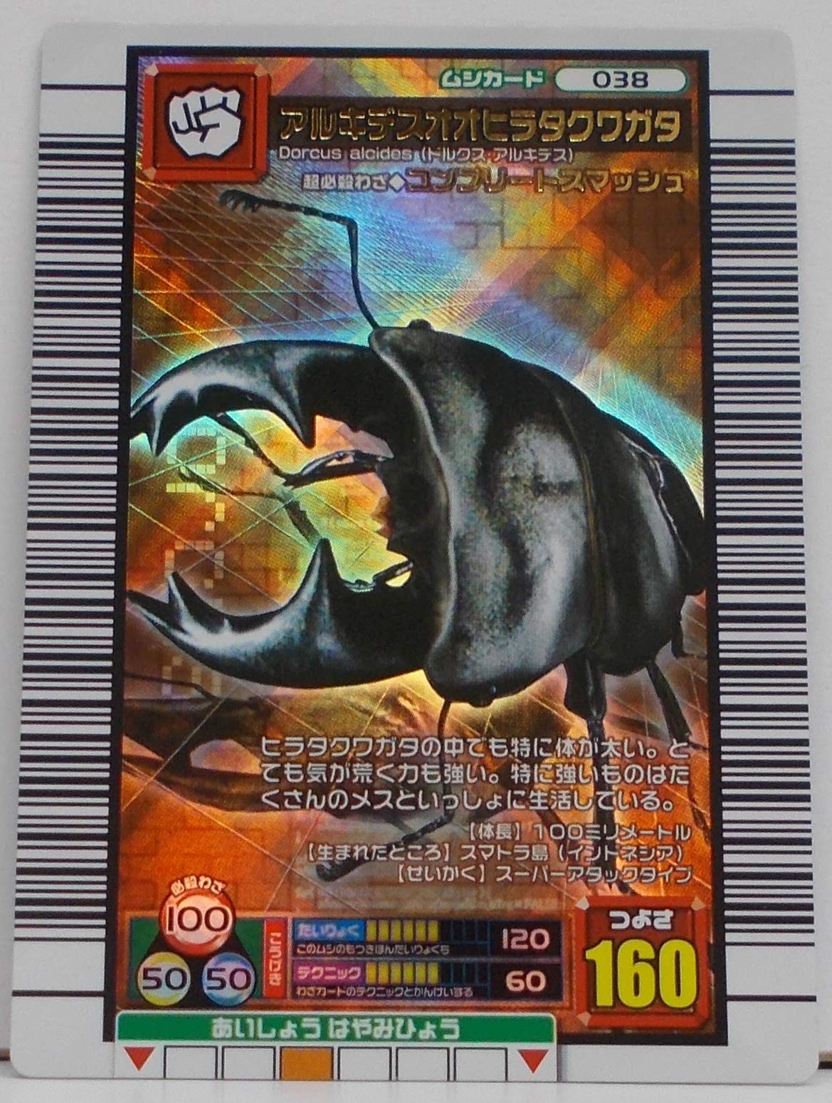 Amazon.co.jp: 【038-2006ファースト】 アルキデスオオヒラタクワガタ