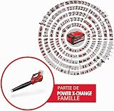 Einhell Spazzafoglie a Batteria Ge-Lb 36/210 Li E-Solo Power X-Change + 2X 3,0Ah & Twincharger PXC Starter Kit - 2
