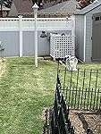 Review Image by lt lt