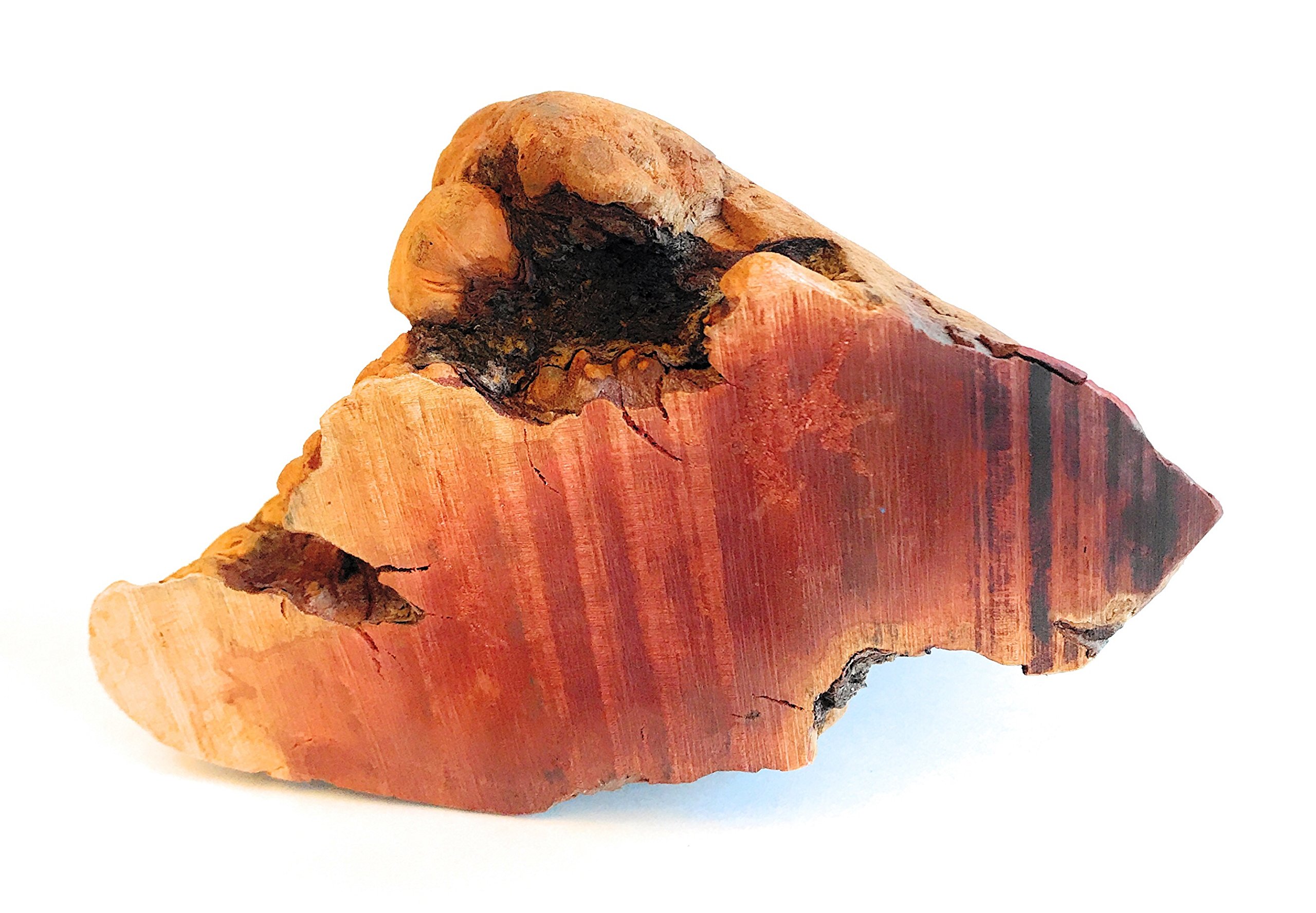 barkworthies root chew