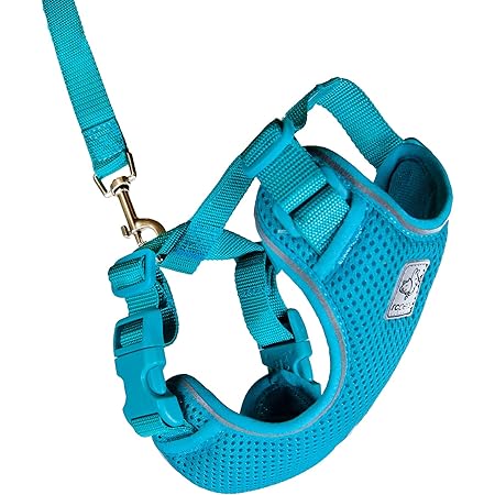 kitty holster amazon