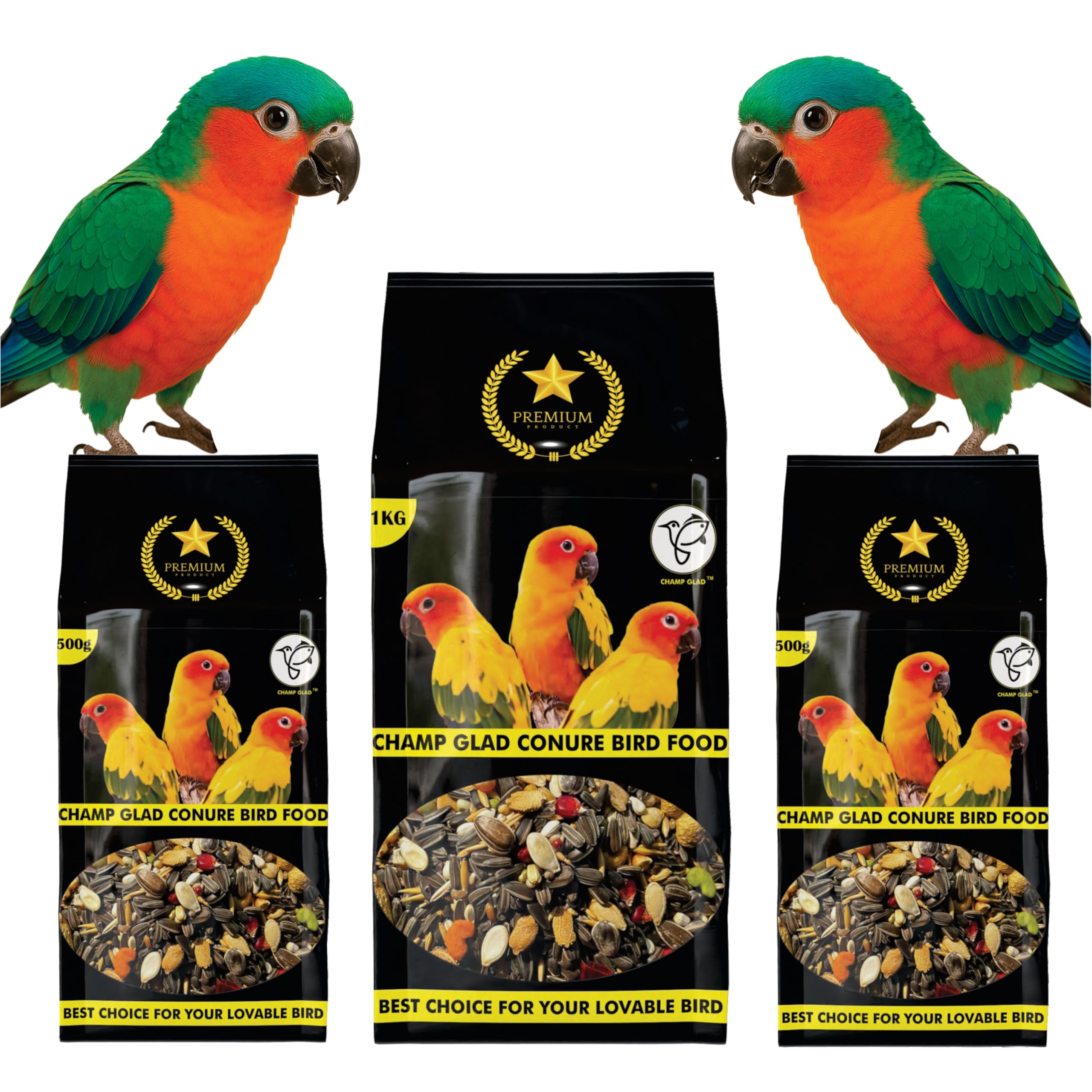 Conures Birds Premium Mix Seed for Conure Parrot (2 Kg),All Life Stages-image-24