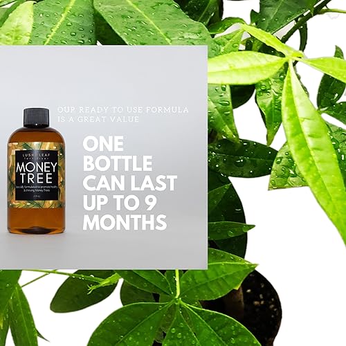 Miniatura 4 de Lush Leaf  Alimento vegetal (árbol de mono)