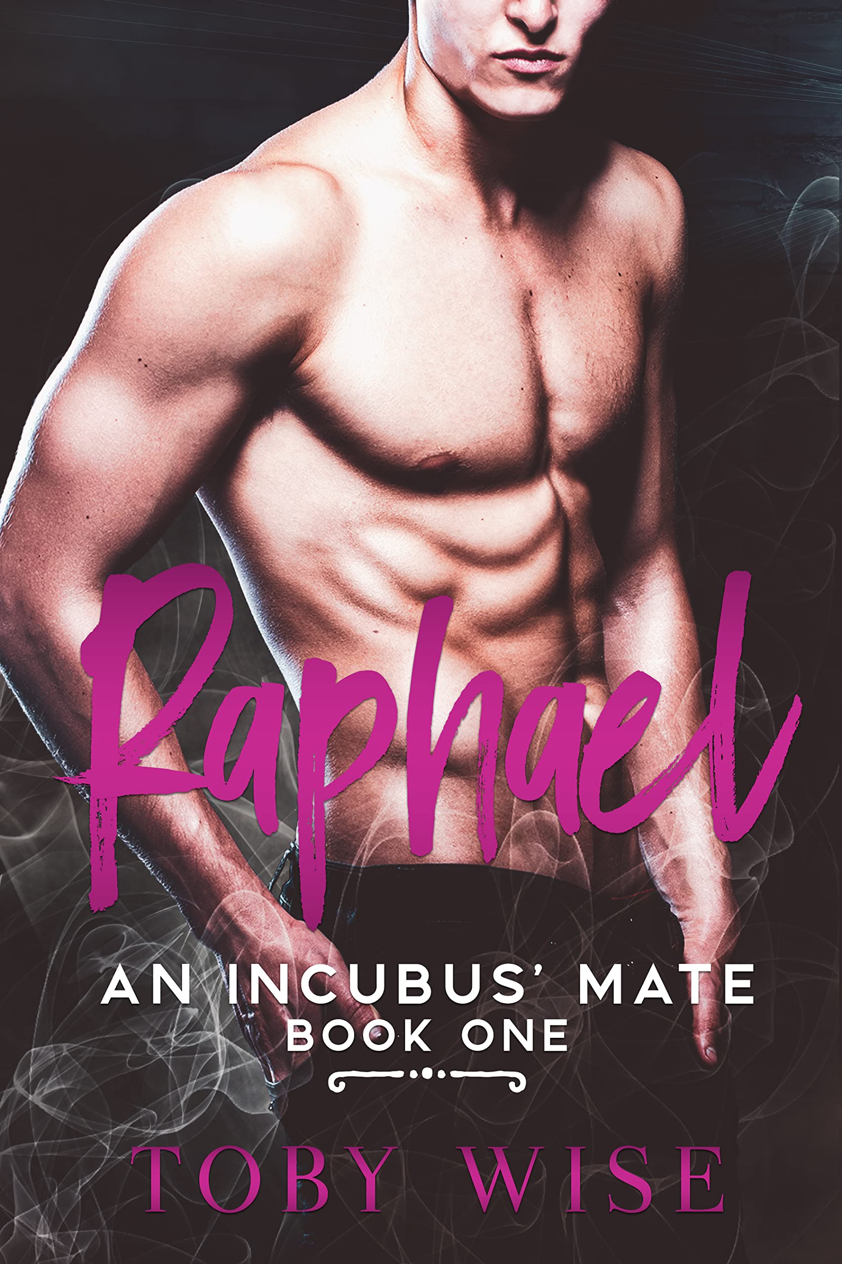 Raphael (An Incubus' Mate Book 1)