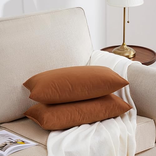 Vista 156 de GIGIZAZA - Juego de 2 fundas de almohada decorativas de 18 x 18 pulgadas, fundas de almohada cuadradas de terciopelo verde azulado pavo real