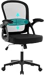 Fizzin chaise de bureau, chaise de bureau ergonomique à la maison avec support Lombaire réglable et coussin de siège épais, chaise d'ordinateur en mesh respirant Flip-up accoudoirs Chaises de travail pour le bureau intérieur (Lavande)