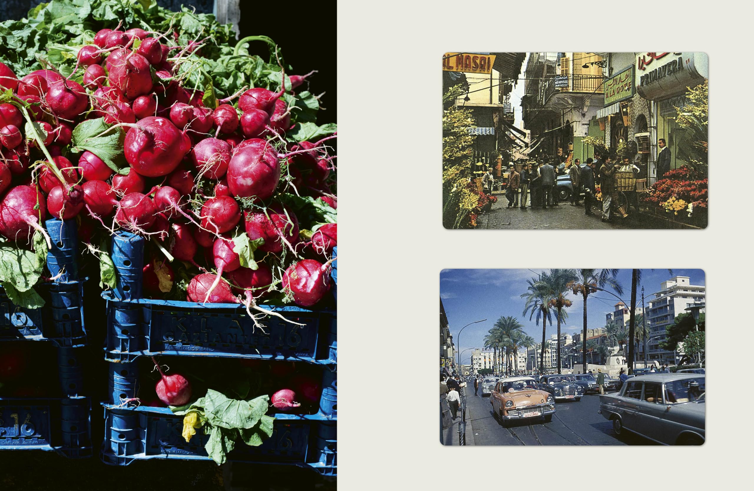Arabica: Small Plates, Big Connections: A Journey Through the Flavours of the Eastern Mediterranean