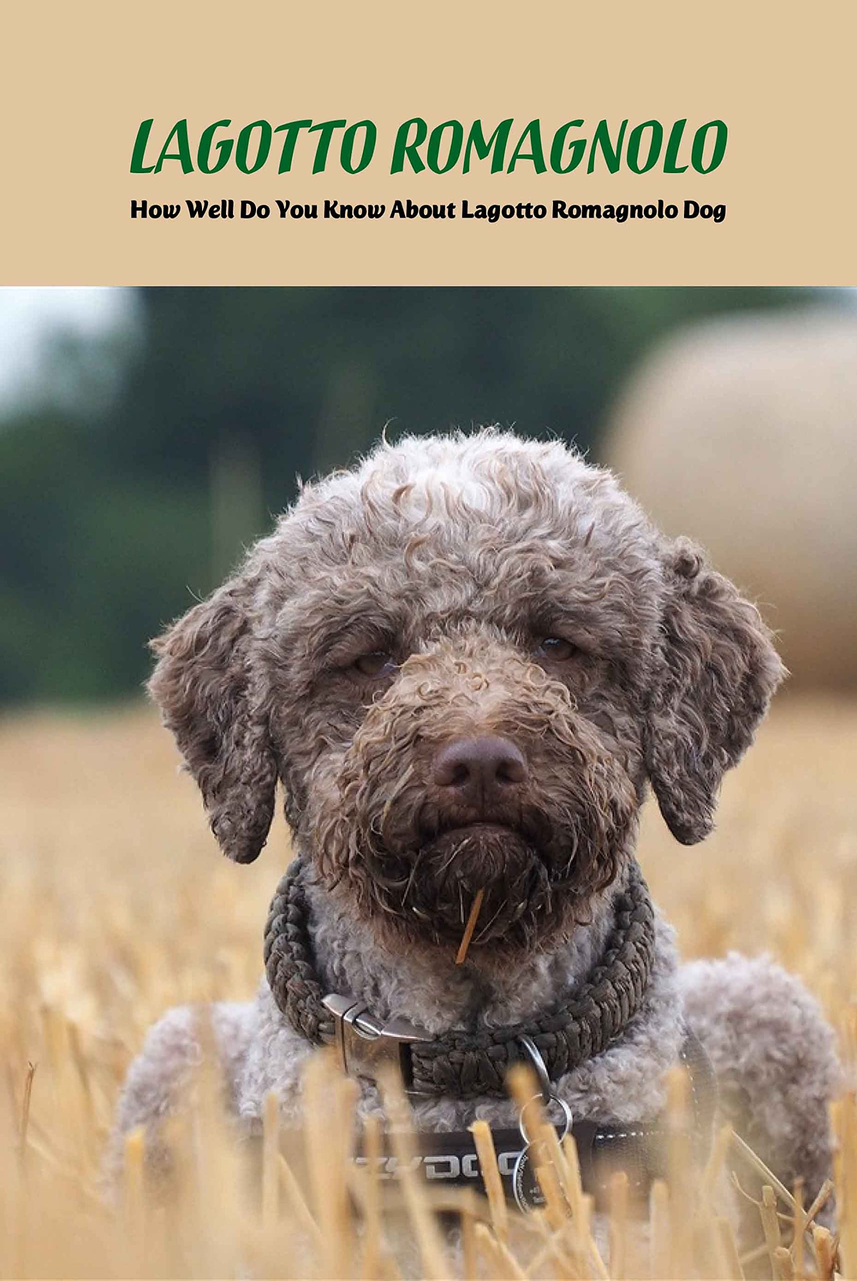 Buy Lagotto Romagnolo How Well Do You Know About Lagotto Romagnolo Dog Cute Lagotto Romagnolo
