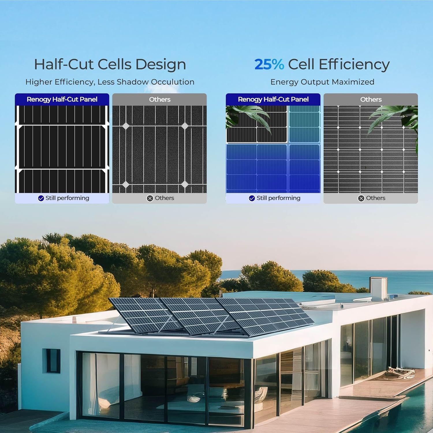 Renogy Solar Panels 640 Watts 12V/24V 2PCS 320W Bifacial Solar Panel Monocrystalline On/Off Grid Rigid Over 400 Watt Solar Panel 30% Higher Efficiency Durable for Homes Roof RV Boat Camping Black