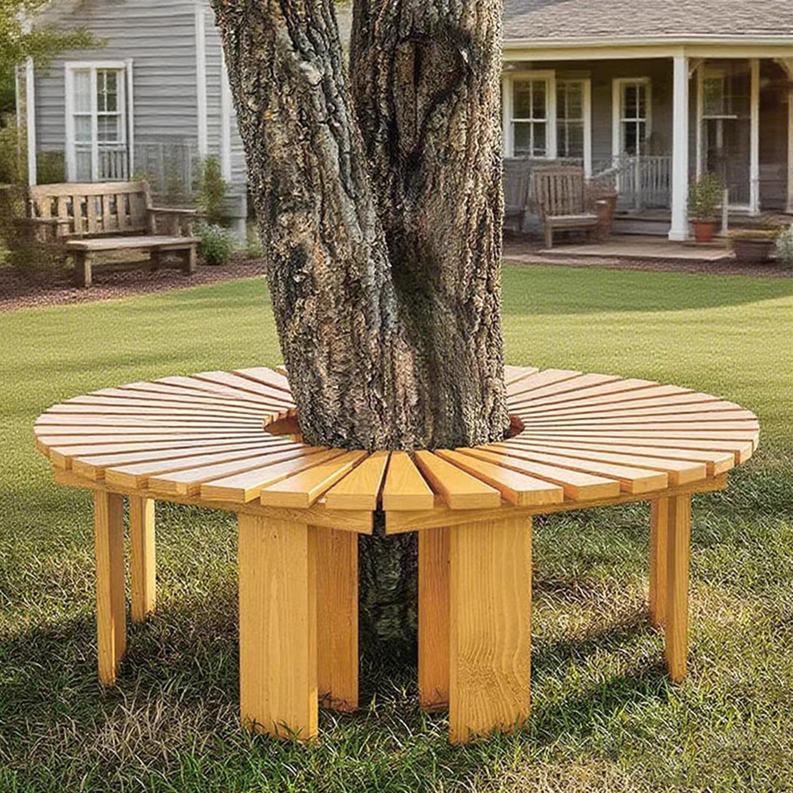 Banc d'arbre enveloppant extérieur demi-rond en bois massif