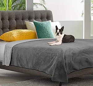 100% Leak Proof, Waterproof, Totally Pee Proof, EZ-Wash, Durable, 3 Layer Blanket (60"x50" Slate Grey/Cool Grey) Adults, Pets, Dogs, Cats, Cozy Soft