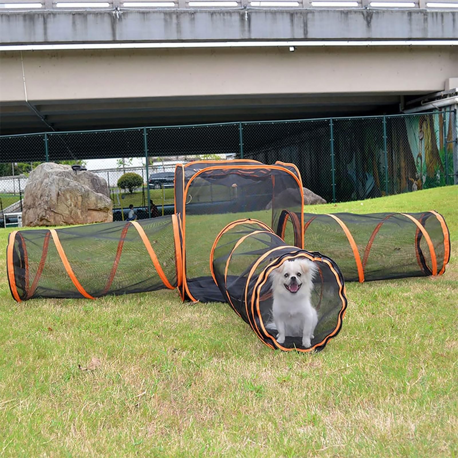 Tunnel pour Chat 6 en 1, Tente Pliable pour Chat, Jouets pour Tunnel de Jeu pour Animaux de Compagnie, enclos extérieurs pour Chat, Tunnel d'épissure Gratuit, Tunnel de Jouet interactif pour