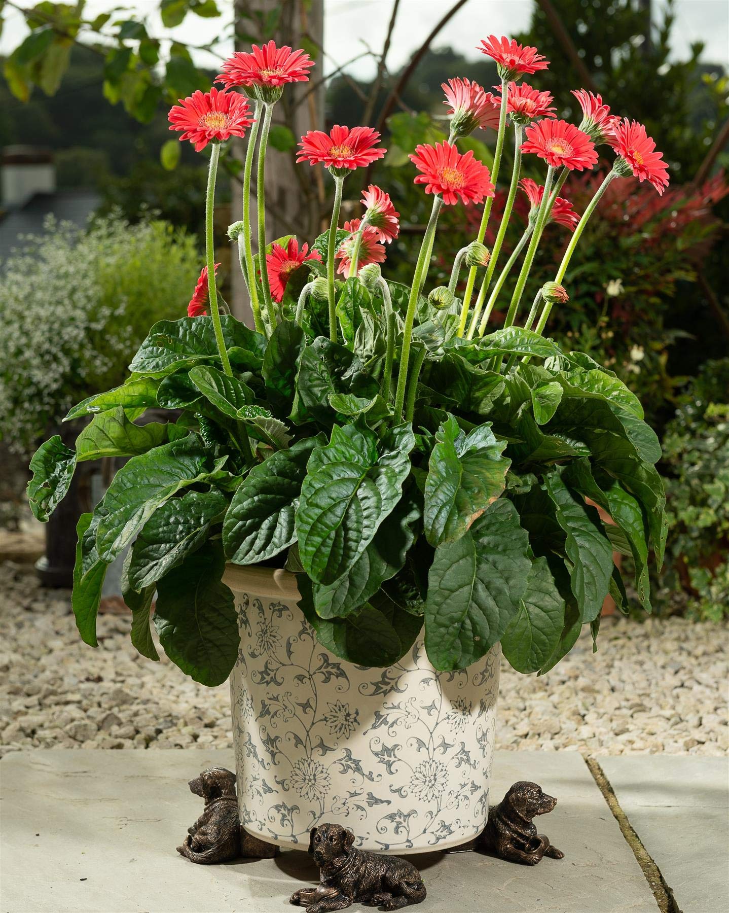 Potty Feet Resting Labrador Figures Plant Pot Feet - Planter Support - Handmade Decorative Ornaments - 3pcs
