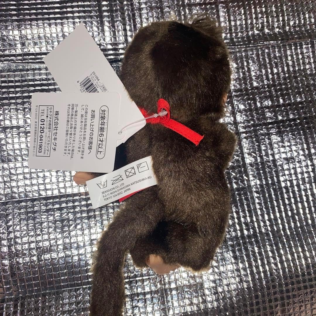 山採り ソヨゴ 約80センチ 唯一。山採りソヨゴ。 山採りソヨゴ株立4.0m