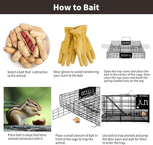 Miniatura 5 de Trampa de ardillas, captura y liberación humanitaria, puede atrapar varias ardillas o ardillas a la vez