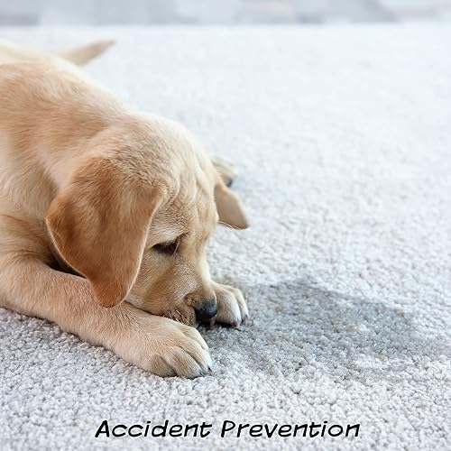 Miniatura 4 de Alfombra de baño de césped artificial para cachorros y mascotas pequeñas, para uso en interiores y exteriores