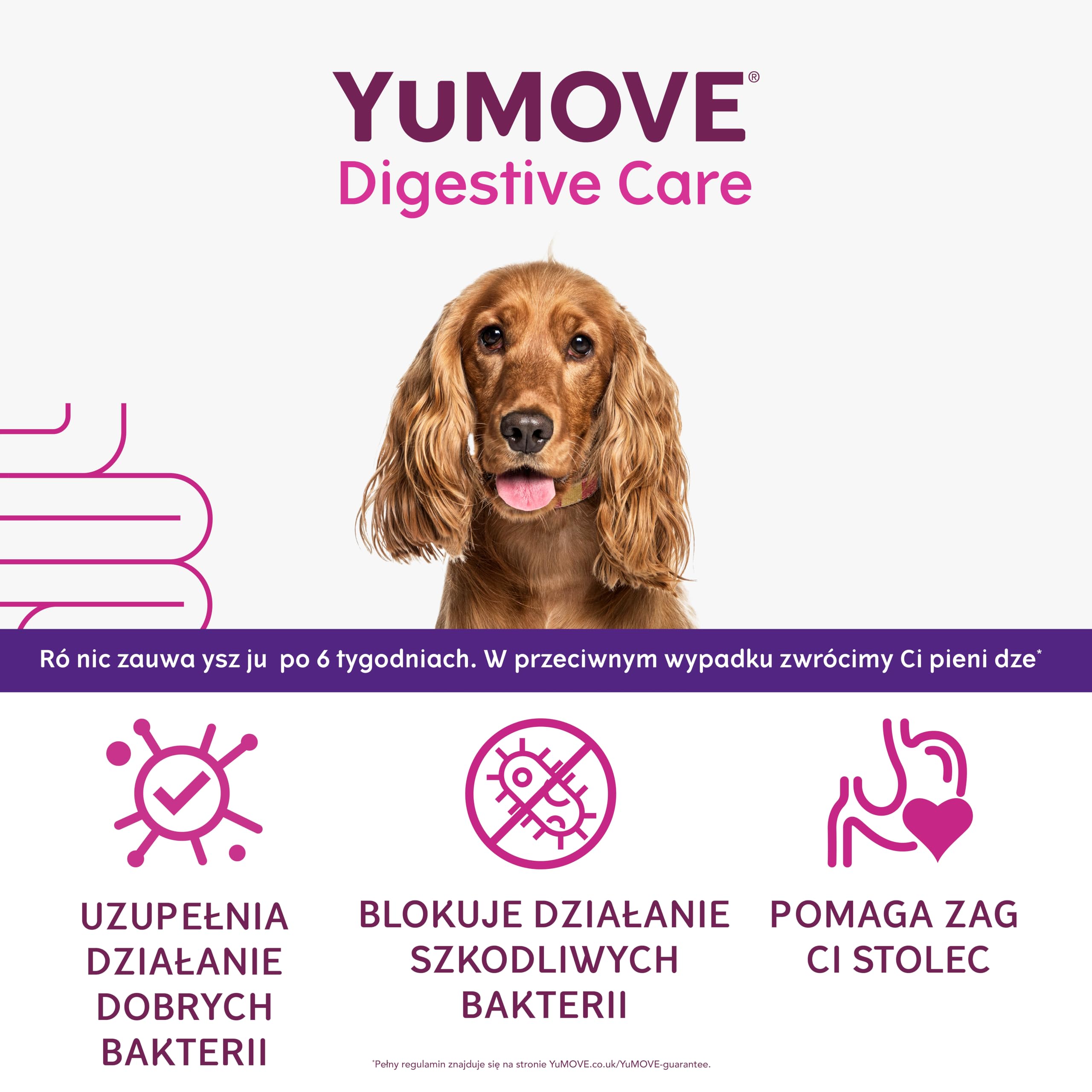 Yumove Pre- I Probiotyk Dla Psów ActivBio - 120 Tabletek Na Jelita | Patent W Toku, 200 M Cultures E. Faecium, Beta-Glukany, Równowaga Flory Jelitowej, Poparte Nauką, Polecane Przez Weterynarzy