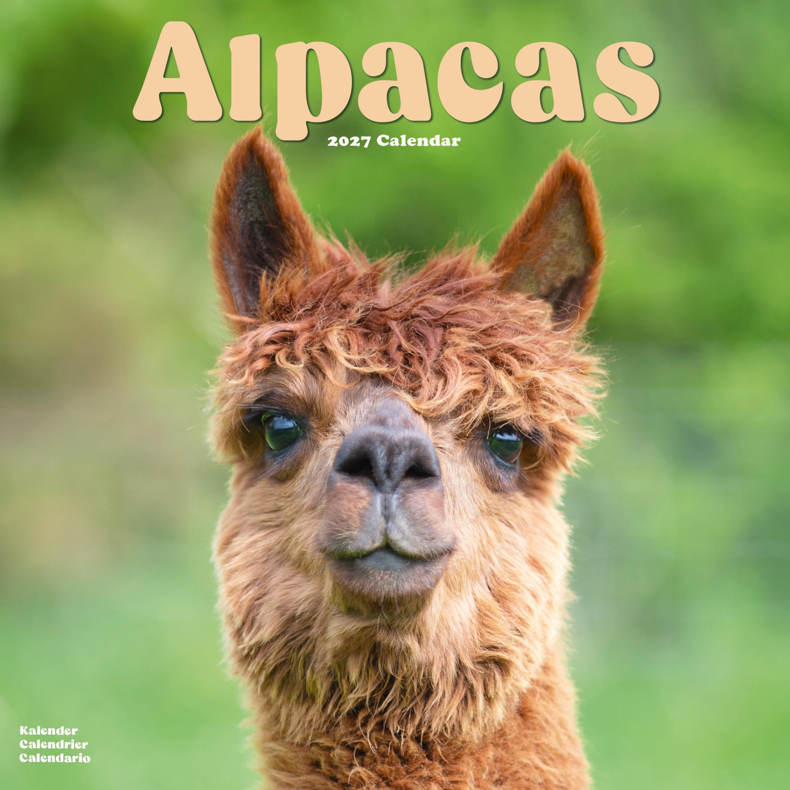 Alpacas Calendar 2027, Wall Calendars, Month To View, Animals, Gift