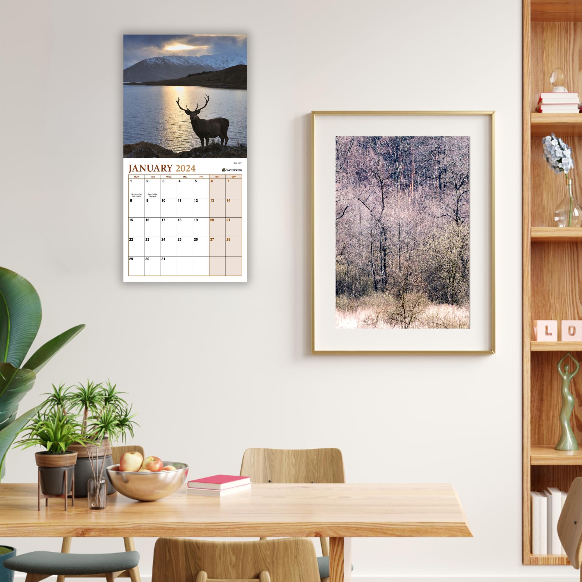 ALLTRADE Calendar 2026 British Wildlife 2026 Calendar UK Holidays Premium MADE IN BRITAIN® with 100% Solar Energy on FSC® paper Photos by LAURIE CAMPBELL Supports Carbon Capture with Tree Planting - Image 2