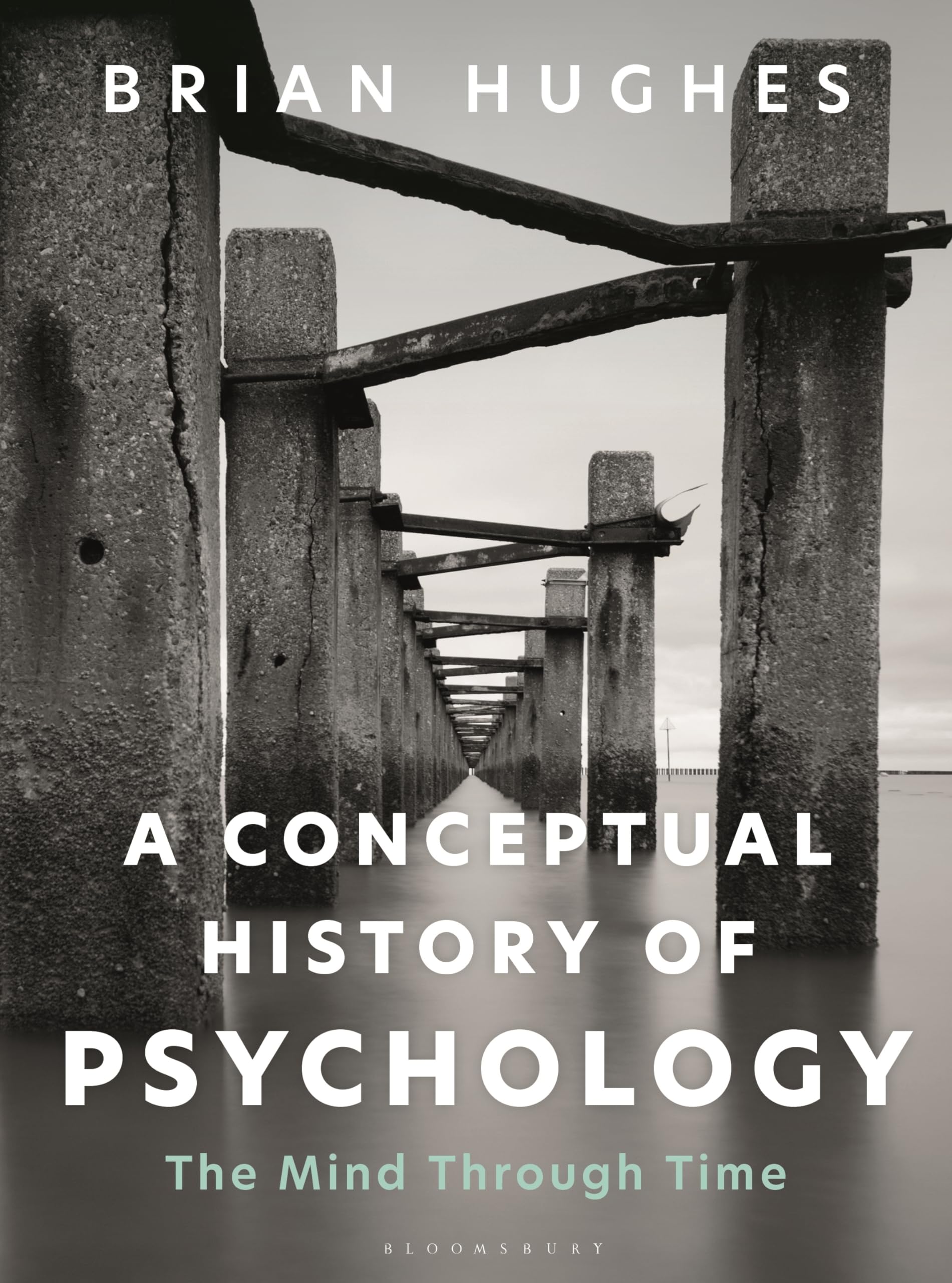 A Conceptual History of Psychology: The Mind Through Time.by Hughes PB**
