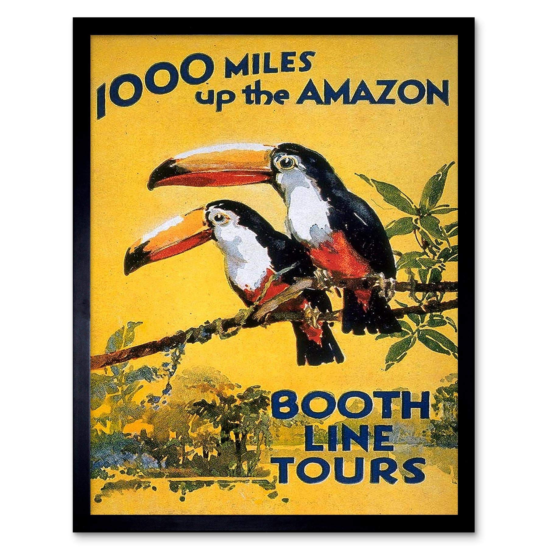 Wee Blue Coo Amazon Toucan River Brazil South America Jungle Rain Forest Vintage Art Print Framed Poster Wall Decor 12X16 Inch
