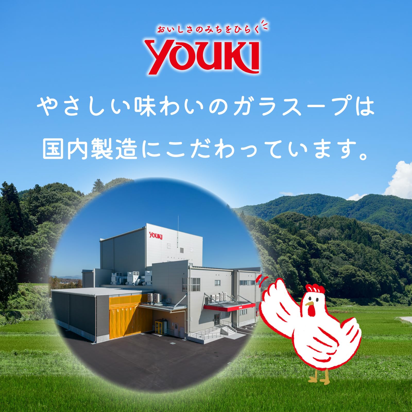 Amazon.com : YOUKI Foods Mild tasting chicken broth Soup Stock