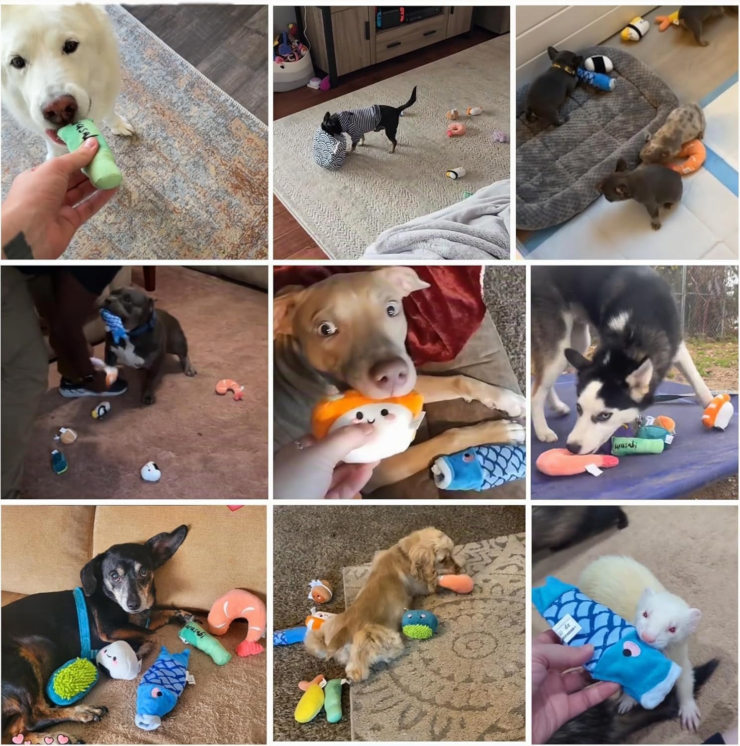 Nocciola 10 Piezas Juguetes de Sushi para Perros Pequeños, Peluches Divertidos con Bolsa, Juguetes de Perro de Peluche con Sonido para Perros Pequeños y Medianos, Premio de Cumpleaños para Perros